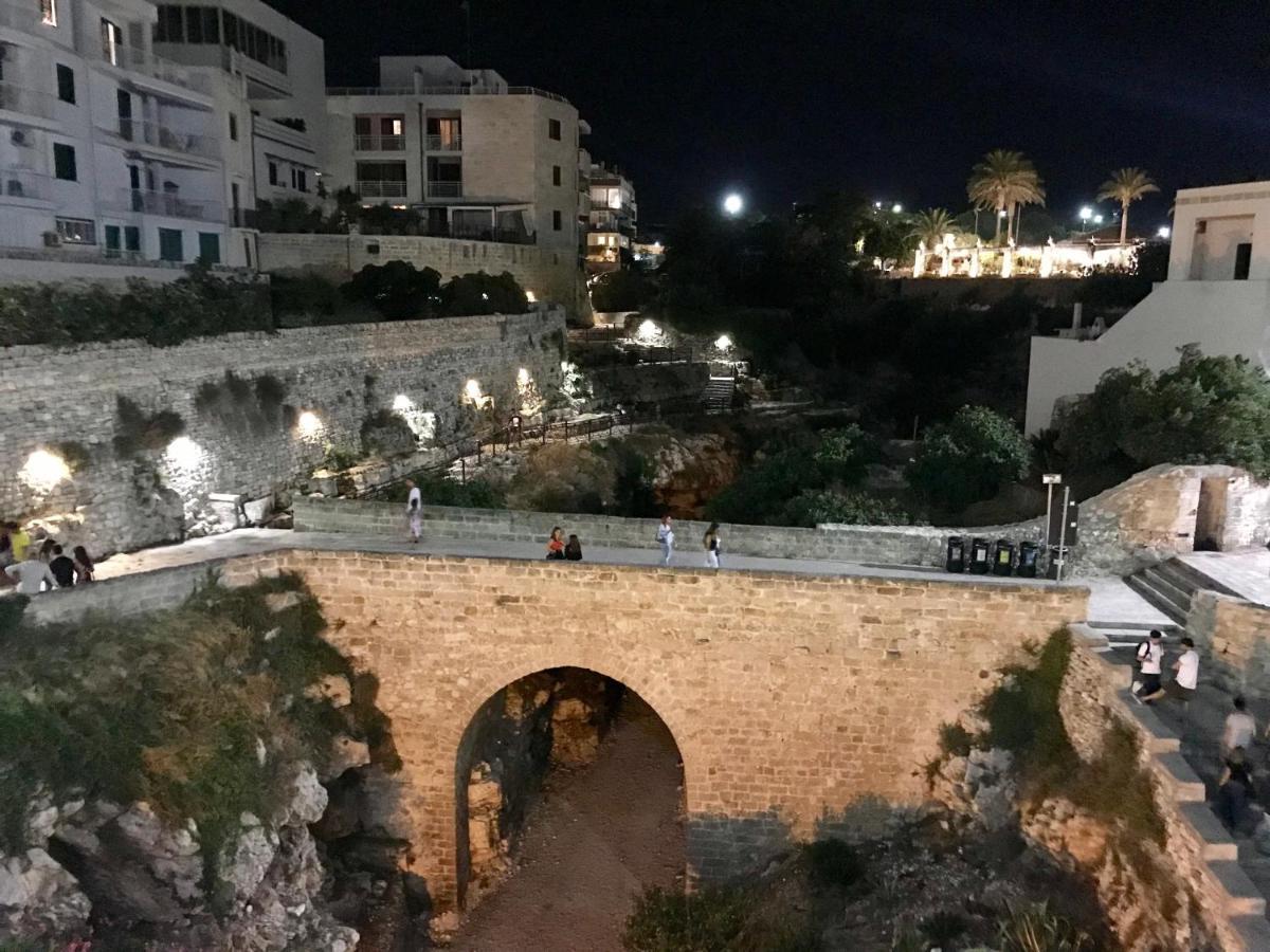 滨海波利尼亚诺Amare Il Mare住宿加早餐旅馆 外观 照片